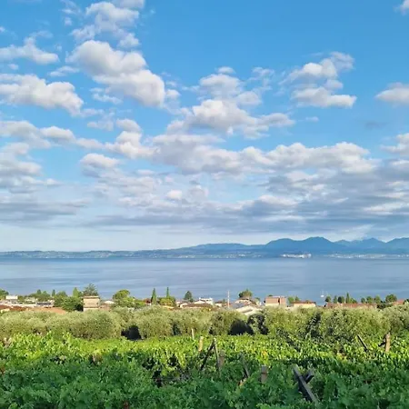 Panorama Апартаменты *